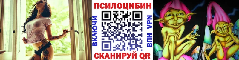 Галлюциногенные грибы мухоморы  купить наркотики цена  Устюжна 